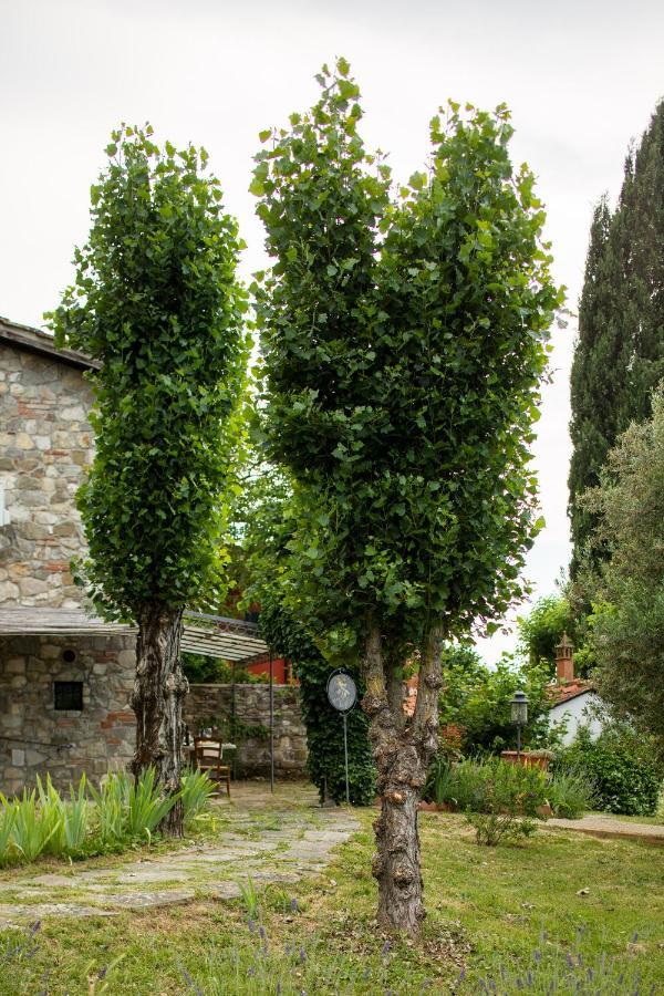 Terre Di San Gorgone Apartment Donnini Bagian luar foto